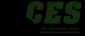 CES